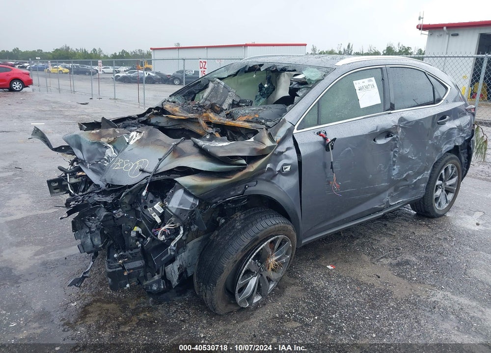 2019 LEXUS NX 300 F-SPORT VIN: JTJYARBZ9K2131108