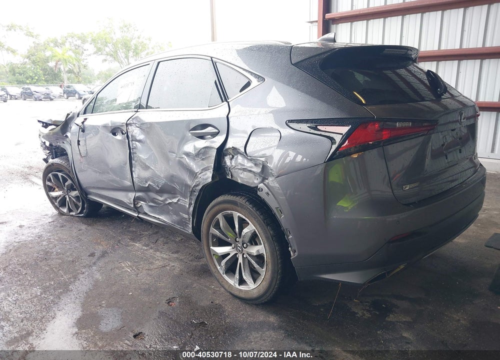 2019 LEXUS NX 300 F-SPORT VIN: JTJYARBZ9K2131108