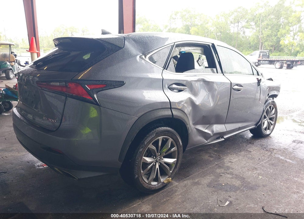 2019 LEXUS NX 300 F-SPORT VIN: JTJYARBZ9K2131108