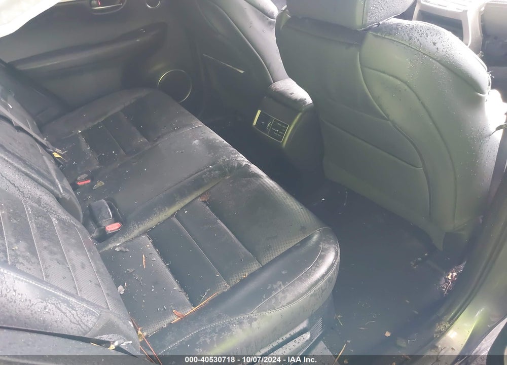 2019 LEXUS NX 300 F-SPORT VIN: JTJYARBZ9K2131108
