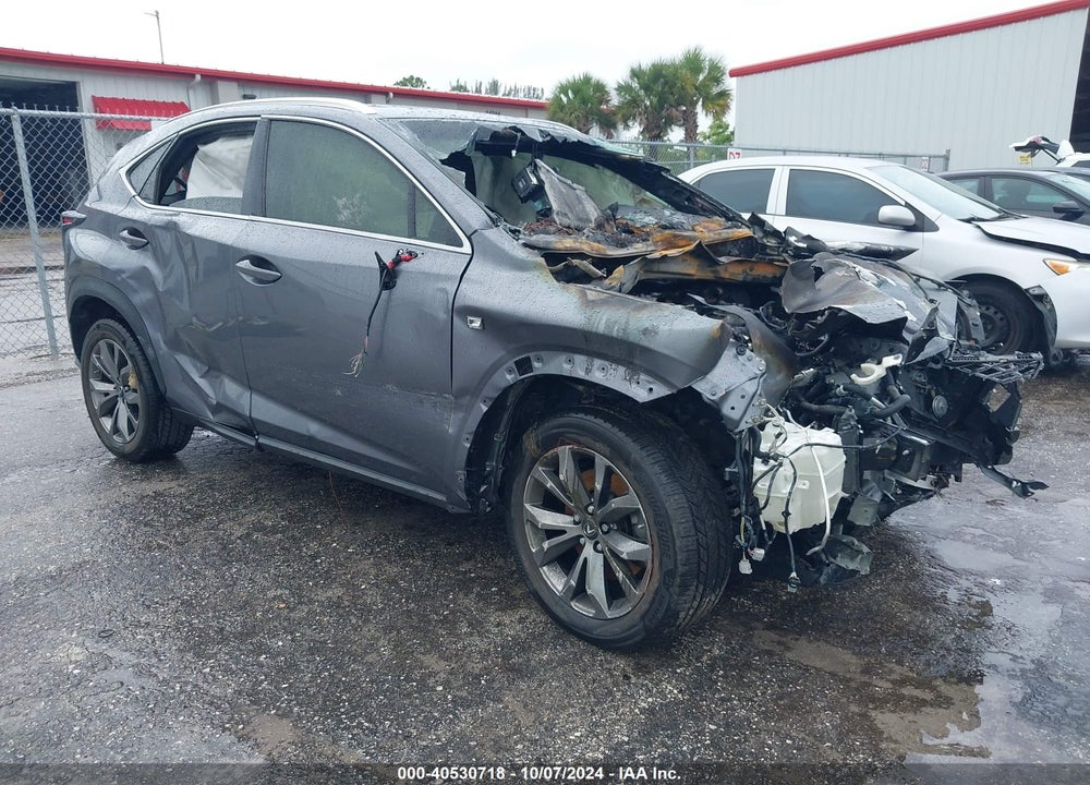 2019 LEXUS NX 300 F-SPORT VIN: JTJYARBZ9K2131108