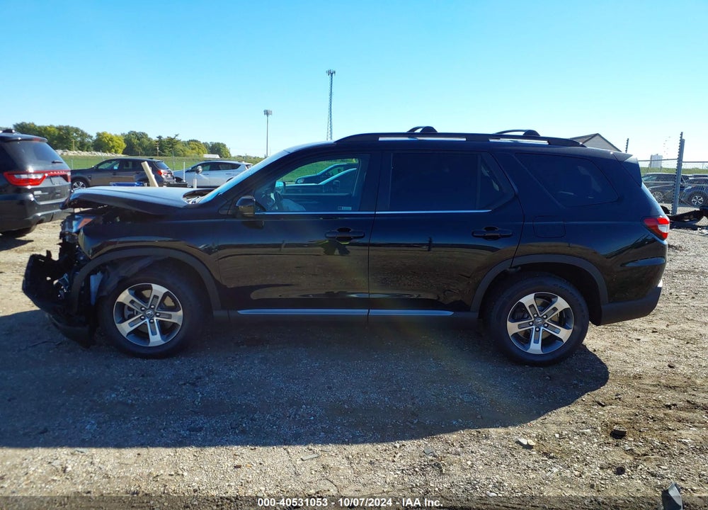 2024 HONDA PILOT EX-L 7-PASSENGER VIN: 5FNYG1H58RB026669