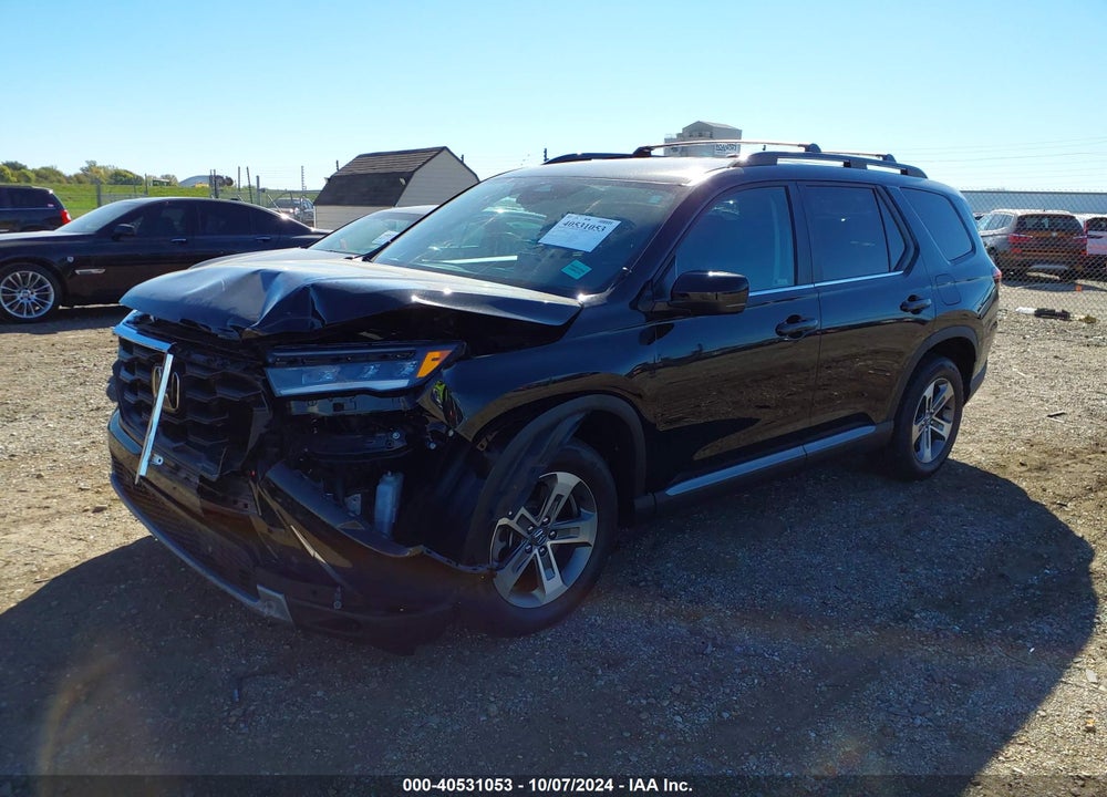 2024 HONDA PILOT EX-L 7-PASSENGER VIN: 5FNYG1H58RB026669