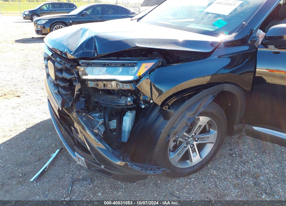 2024 HONDA PILOT EX-L 7-PASSENGER VIN: 5FNYG1H58RB026669