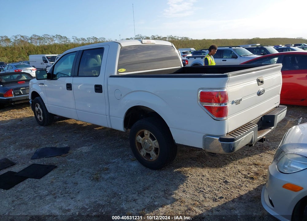 2013 FORD F-150 XLT VIN: 1FTEW1CM6DKF35336