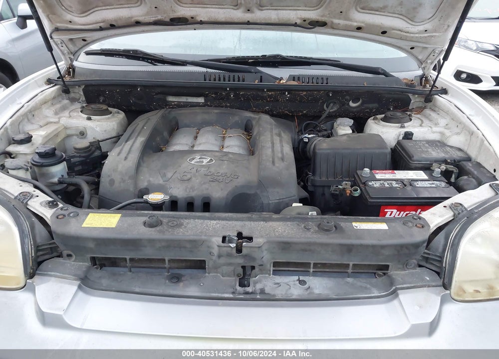 2006 HYUNDAI SANTA FE GLS VIN: KM8SC13D16U089515