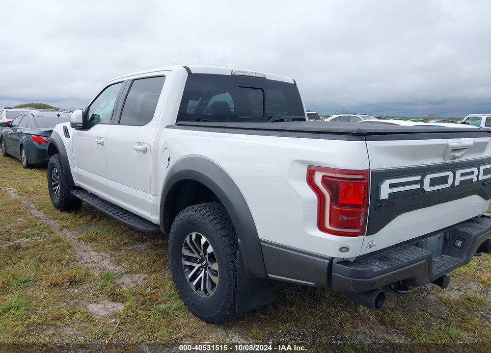 2019 FORD F-150 RAPTOR VIN: 1FTFW1RG8KFA53902