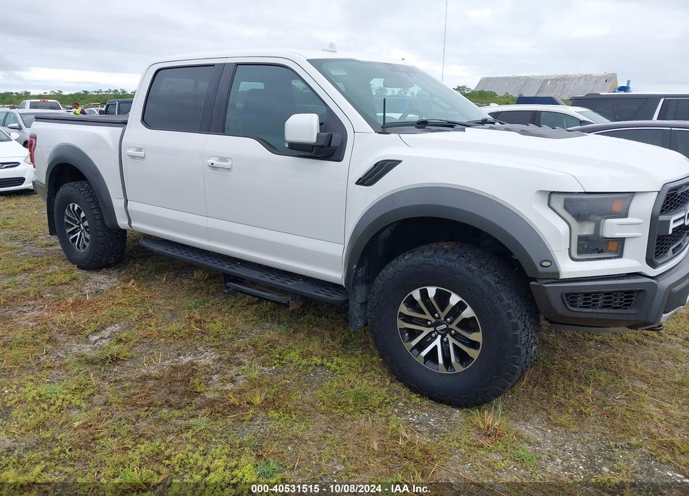 2019 FORD F-150 RAPTOR VIN: 1FTFW1RG8KFA53902