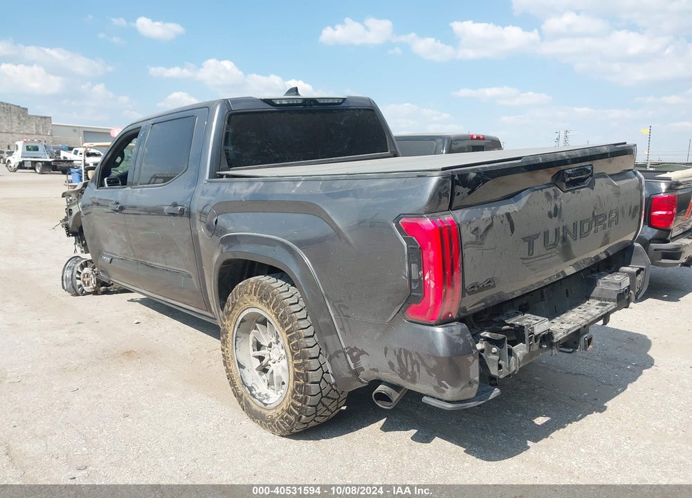 2023 TOYOTA TUNDRA PLATINUM VIN: 5TFNA5DB6PX116753