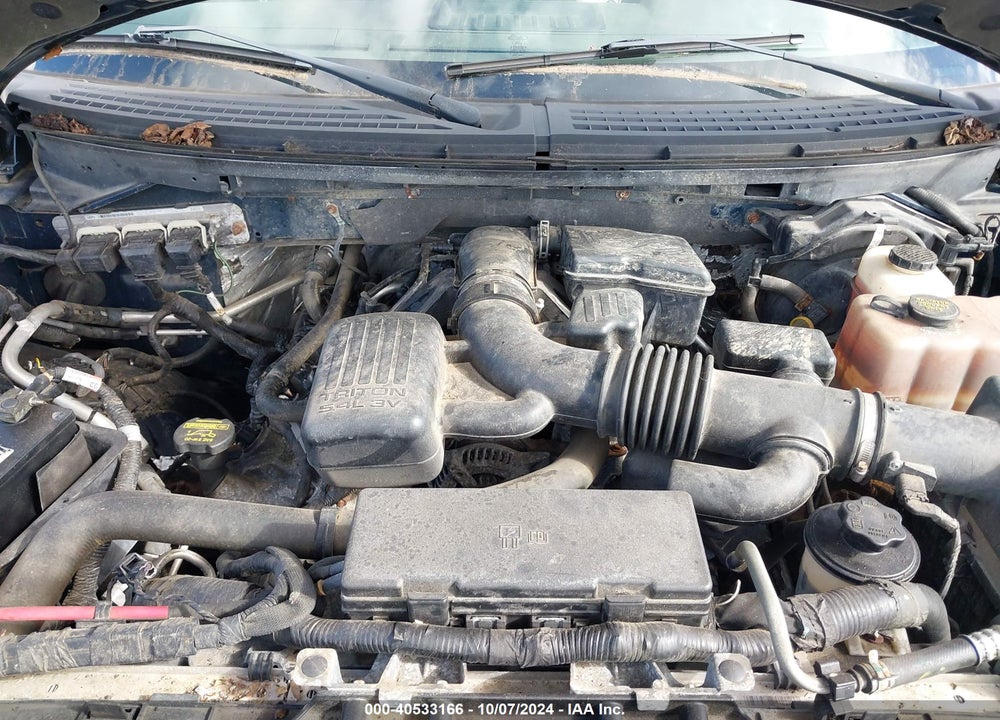 2010 FORD F-150 FX4/HARLEY-DAVIDSON/KING RANCH/LARIAT/PLATINUM/XL/XLT VIN: 1FTFW1EV3AFA30868