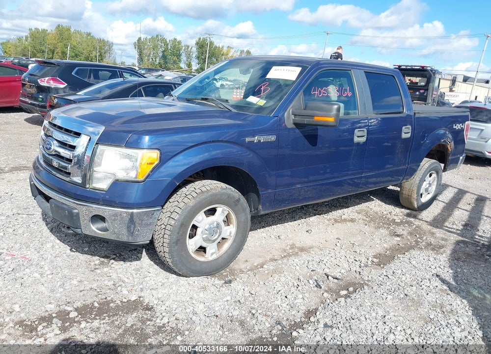 2010 FORD F-150 FX4/HARLEY-DAVIDSON/KING RANCH/LARIAT/PLATINUM/XL/XLT VIN: 1FTFW1EV3AFA30868