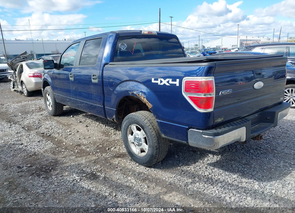2010 FORD F-150 FX4/HARLEY-DAVIDSON/KING RANCH/LARIAT/PLATINUM/XL/XLT VIN: 1FTFW1EV3AFA30868