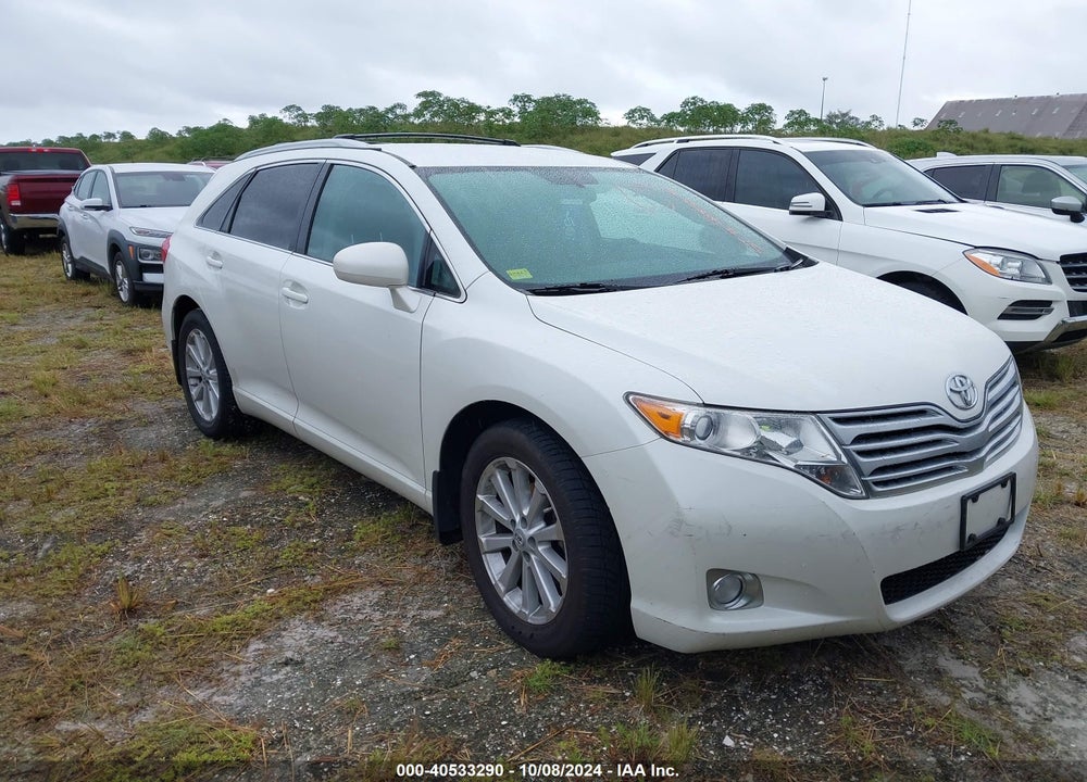 2009 TOYOTA VENZA VIN: 4T3ZE11A09U012812