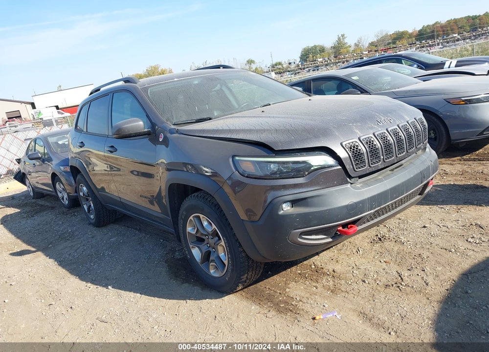 2019 JEEP CHEROKEE TRAILHAWK 4X4 VIN: 1C4PJMBX4KD393848
