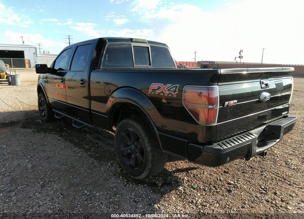 2013 FORD F-150 FX4 VIN: 1FTFW1EF0DFC89606