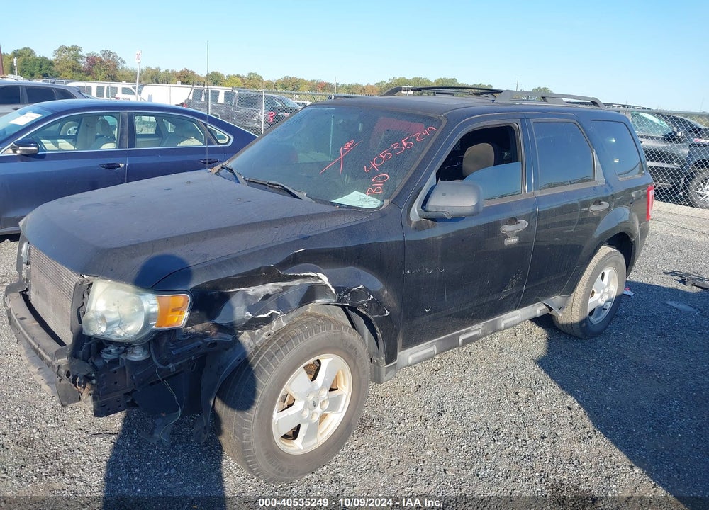 2011 FORD ESCAPE XLT VIN: 1FMCU0DG8BKA03501