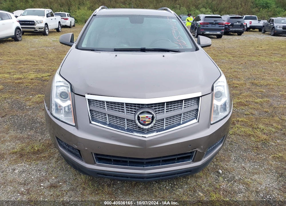 2011 CADILLAC SRX LUXURY COLLECTION VIN: 3GYFNAEY3BS599871