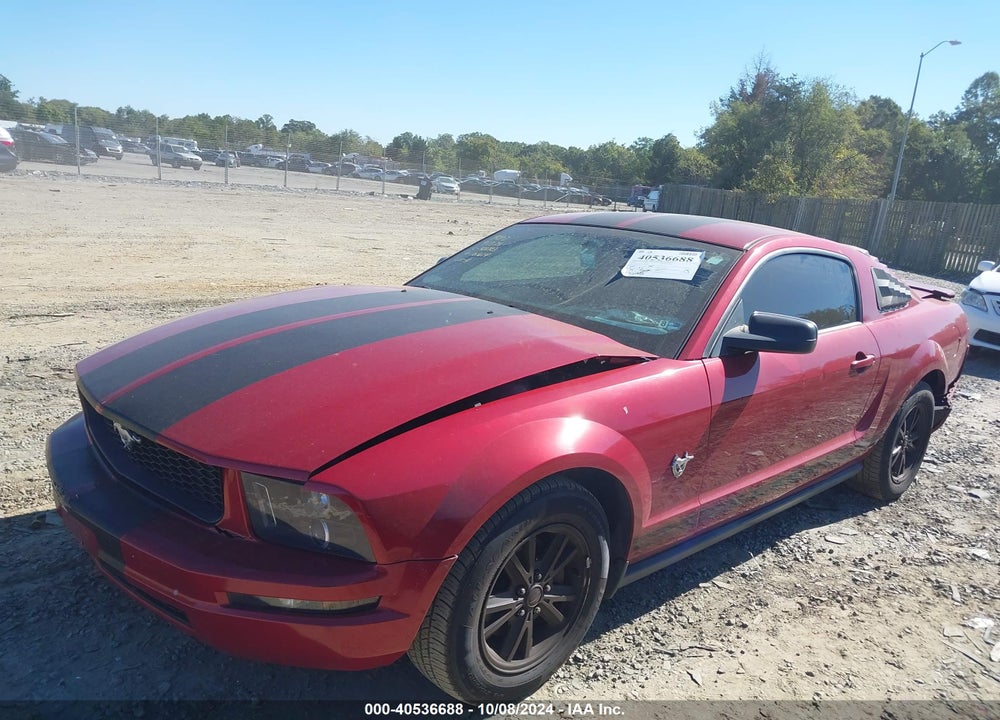 2009 FORD MUSTANG V6/V6 PREMIUM VIN: 1ZVHT80NX95101614