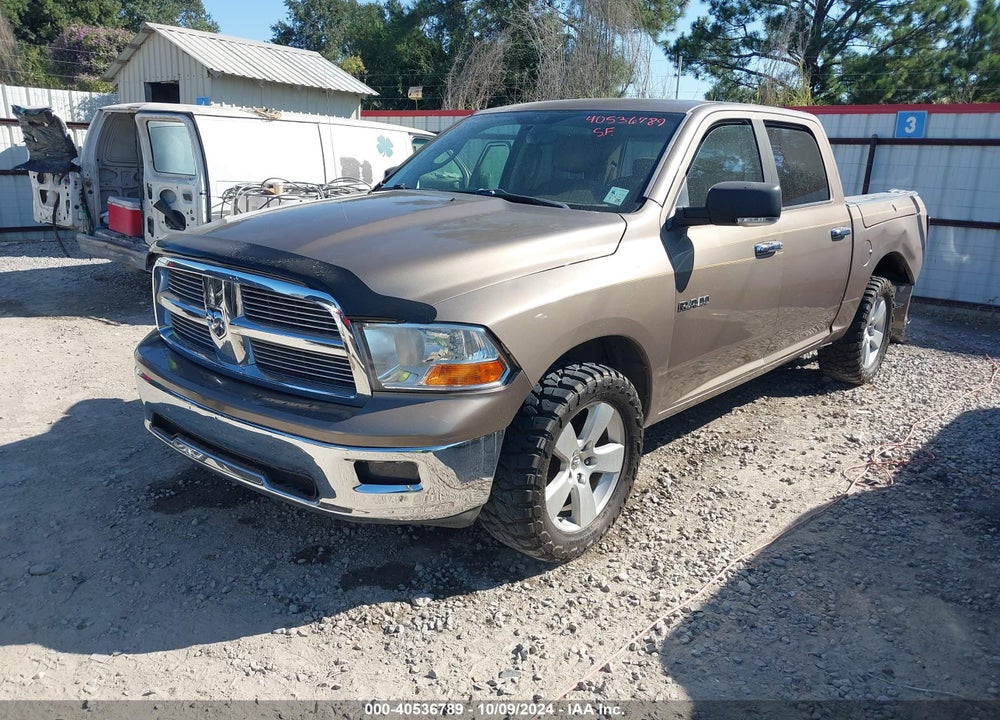 2009 DODGE RAM 1500 SLT/SPORT/TRX VIN: 1D3HB13T99J515991