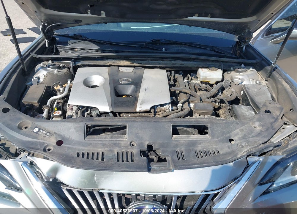 2019 LEXUS ES 300H VIN: 58AB21B14KU003059