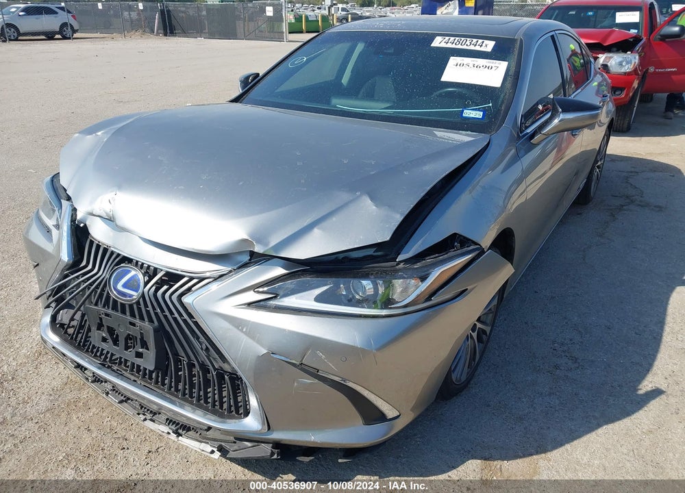 2019 LEXUS ES 300H VIN: 58AB21B14KU003059