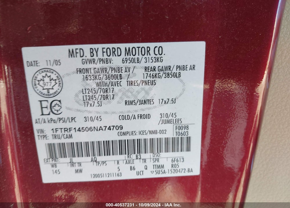 2006 FORD F-150 FX4/XL/XLT VIN: 1FTRF14506NA74709