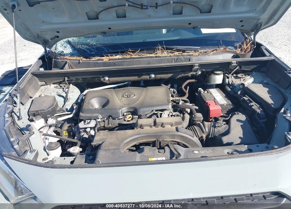 2019 TOYOTA RAV4 ADVENTURE VIN: 2T3J1RFVXKC044001