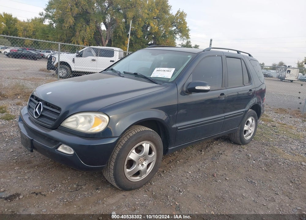 2002 MERCEDES-BENZ ML 320 VIN: 4JGAB54E42A347244