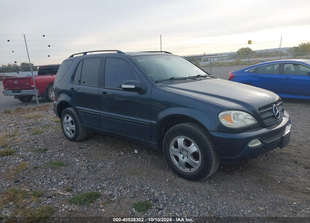 2002 MERCEDES-BENZ ML 320 VIN: 4JGAB54E42A347244