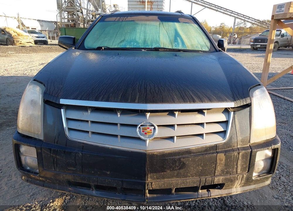 2008 CADILLAC SRX V6 VIN: 1GYEE637480100756
