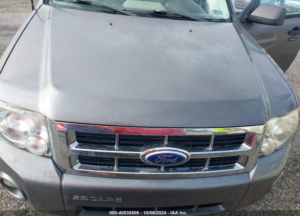2011 FORD ESCAPE XLT VIN: 1FMCU0D74BKC60204