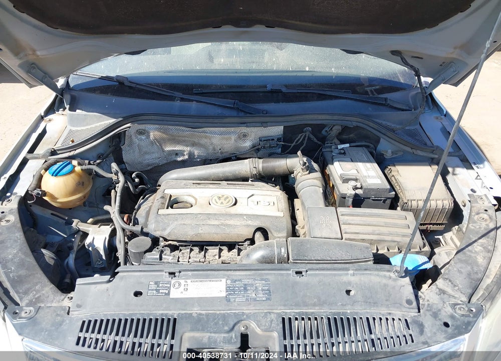 2010 VOLKSWAGEN TIGUAN SE VIN: WVGAV9AX1AW513080