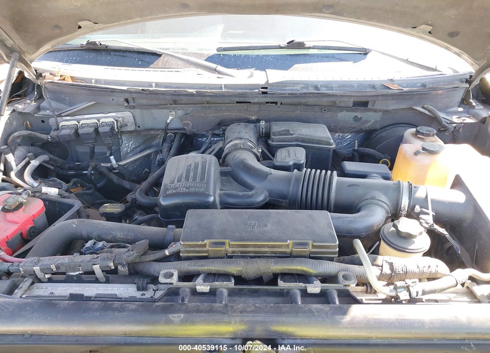 2010 FORD F-150 FX2 SPORT/LARIAT/XL/XLT VIN: 1FTFX1CV6AFA81653