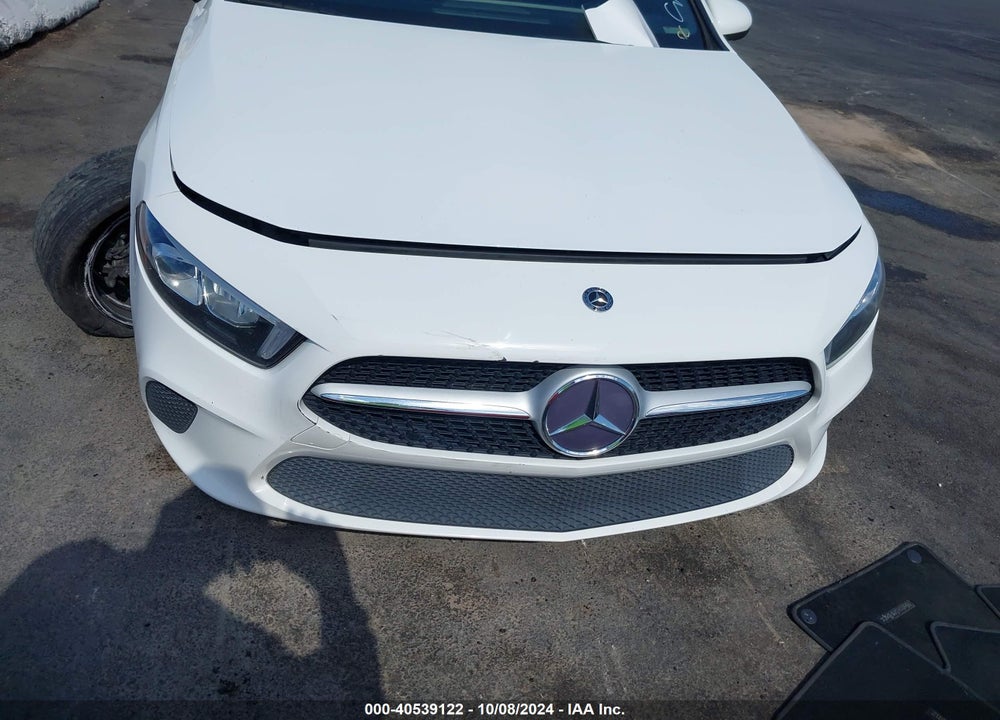 2019 MERCEDES-BENZ A 220 VIN: WDD3G4EB0KW020779