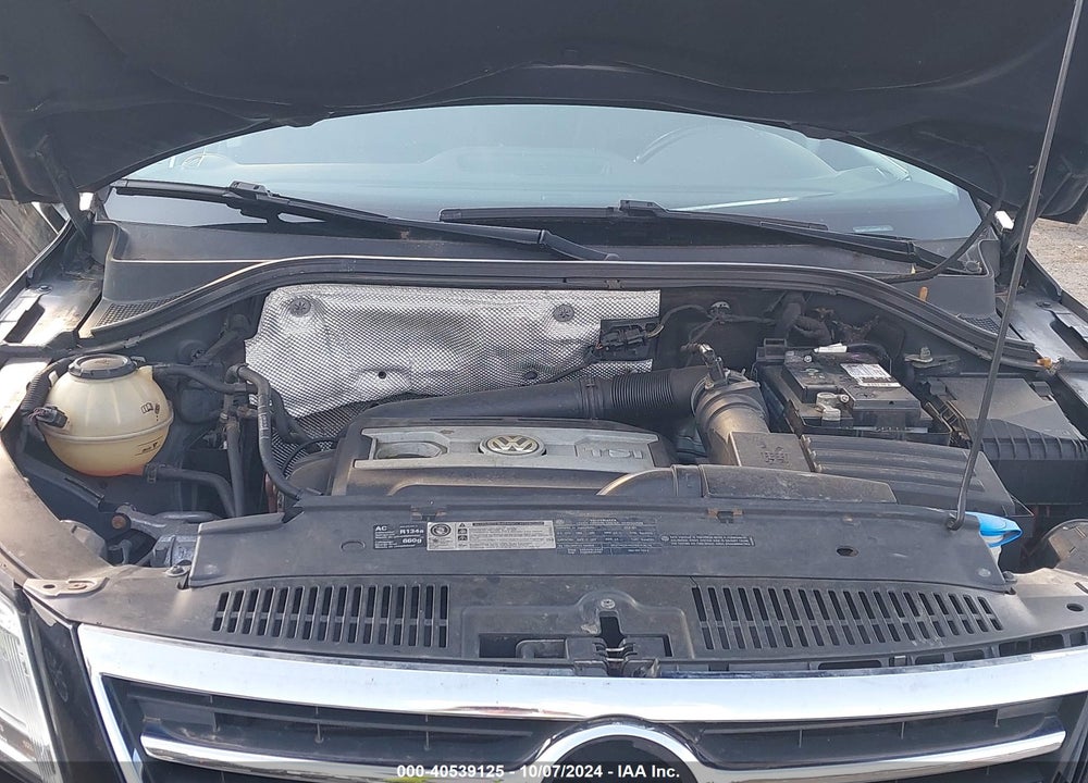 2010 VOLKSWAGEN TIGUAN WOLFSBURG EDITION VIN: WVGBV7AX5AW514810