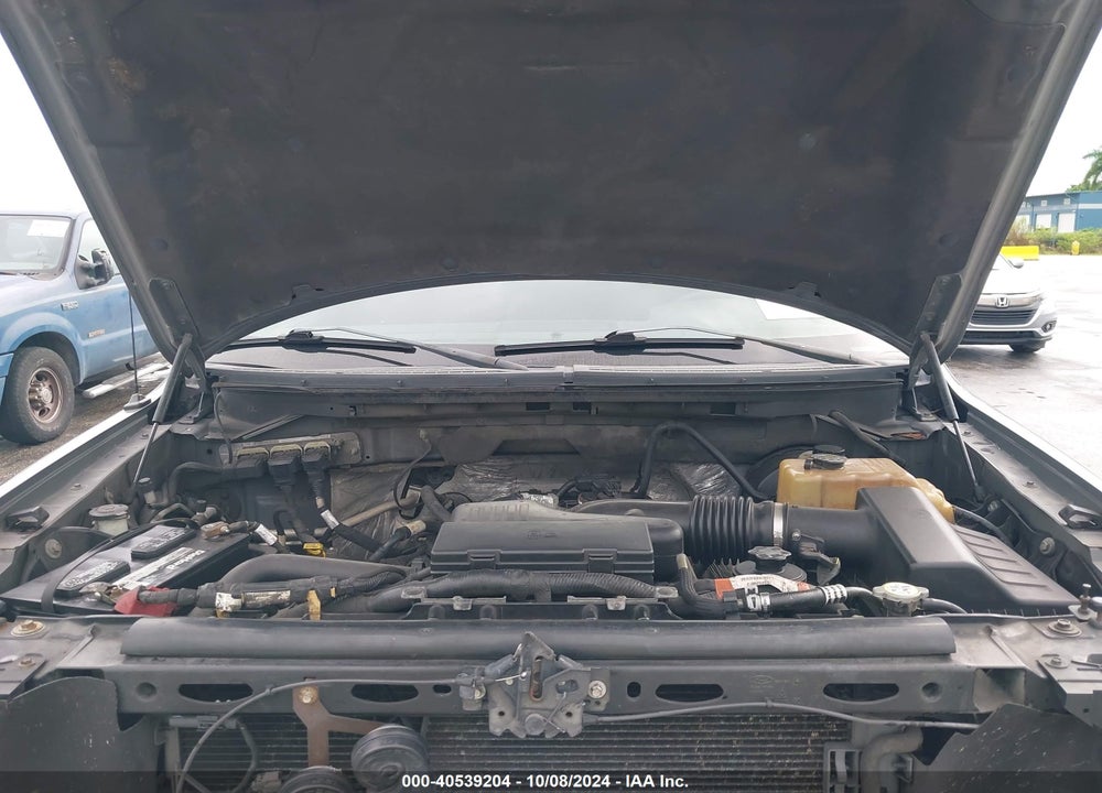 2009 FORD F-150 STX/XL VIN: 1FTRX12W99FA40808