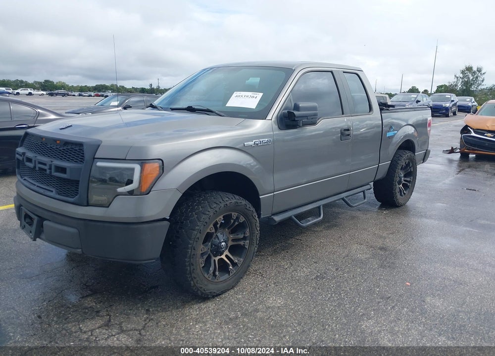 2009 FORD F-150 STX/XL VIN: 1FTRX12W99FA40808