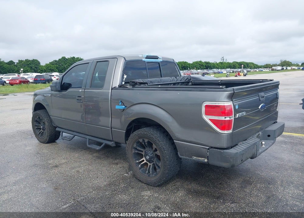 2009 FORD F-150 STX/XL VIN: 1FTRX12W99FA40808