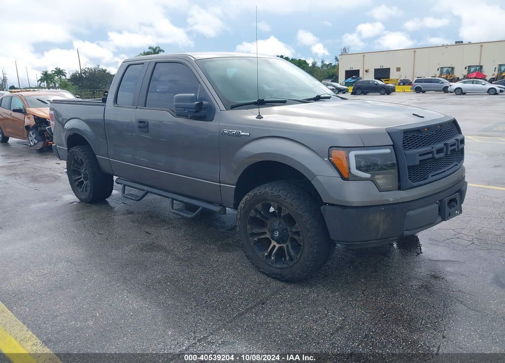 2009 FORD F-150 STX/XL VIN: 1FTRX12W99FA40808