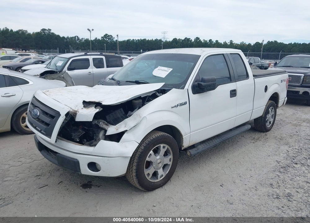 2009 FORD F-150 VIN: 1FTRX12W49KA73707
