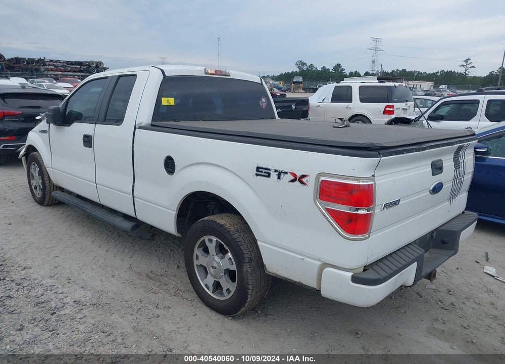 2009 FORD F-150 VIN: 1FTRX12W49KA73707