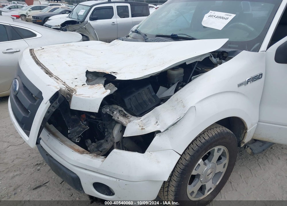 2009 FORD F-150 VIN: 1FTRX12W49KA73707