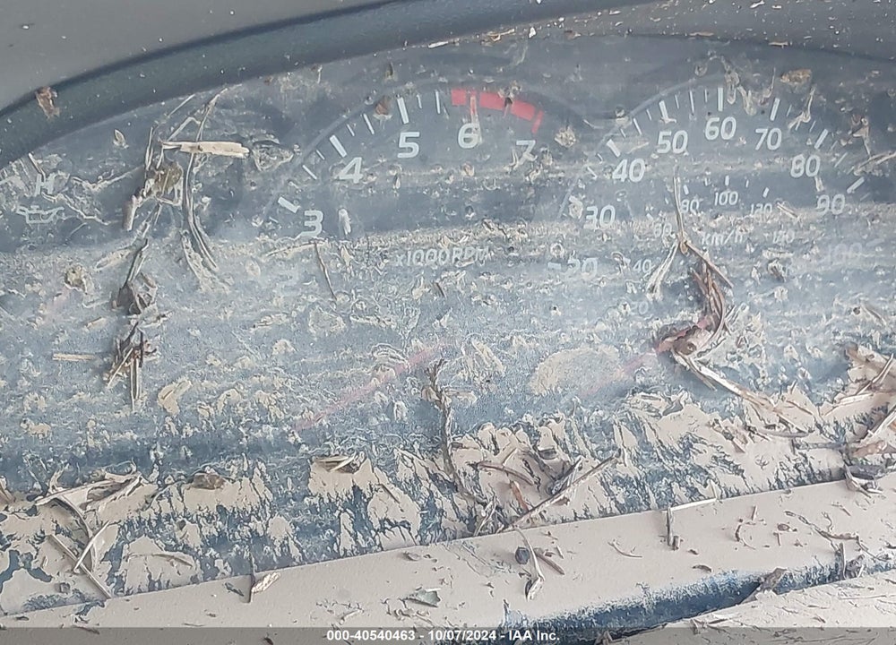 2005 TOYOTA TUNDRA SR5 V8 VIN: 5TBDT44165S484255