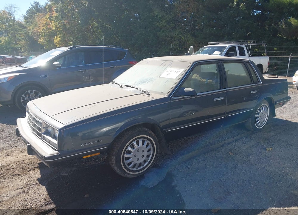 1985 CHEVROLET CELEBRITY VIN: 1G1AW19R9F6215238