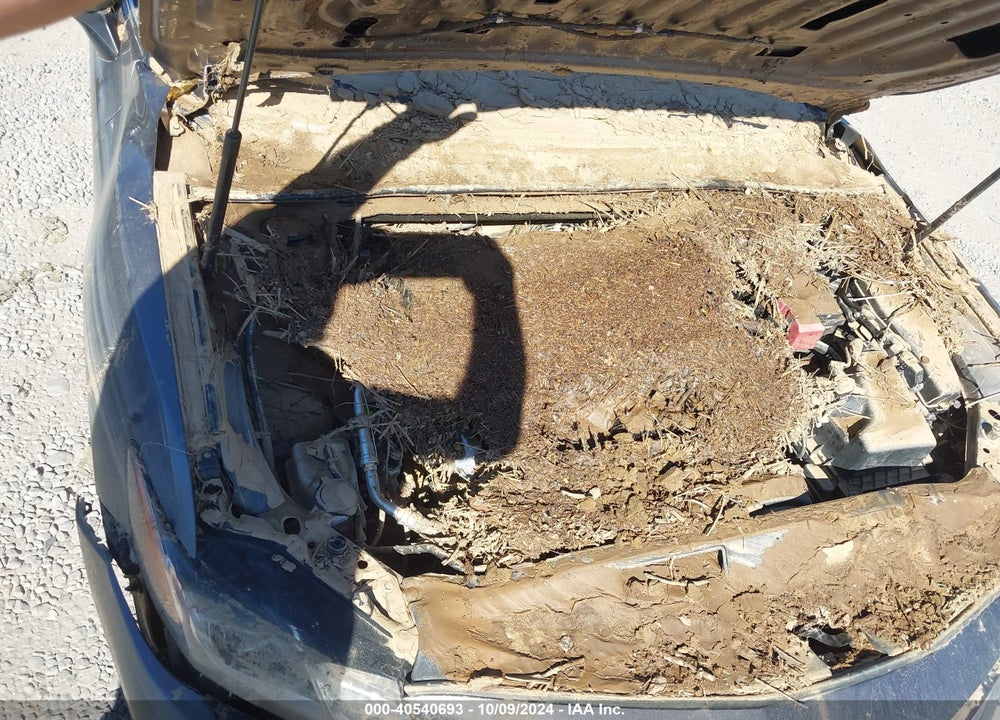 2019 TOYOTA CAMRY SE VIN: 4T1B11HK6KU757848