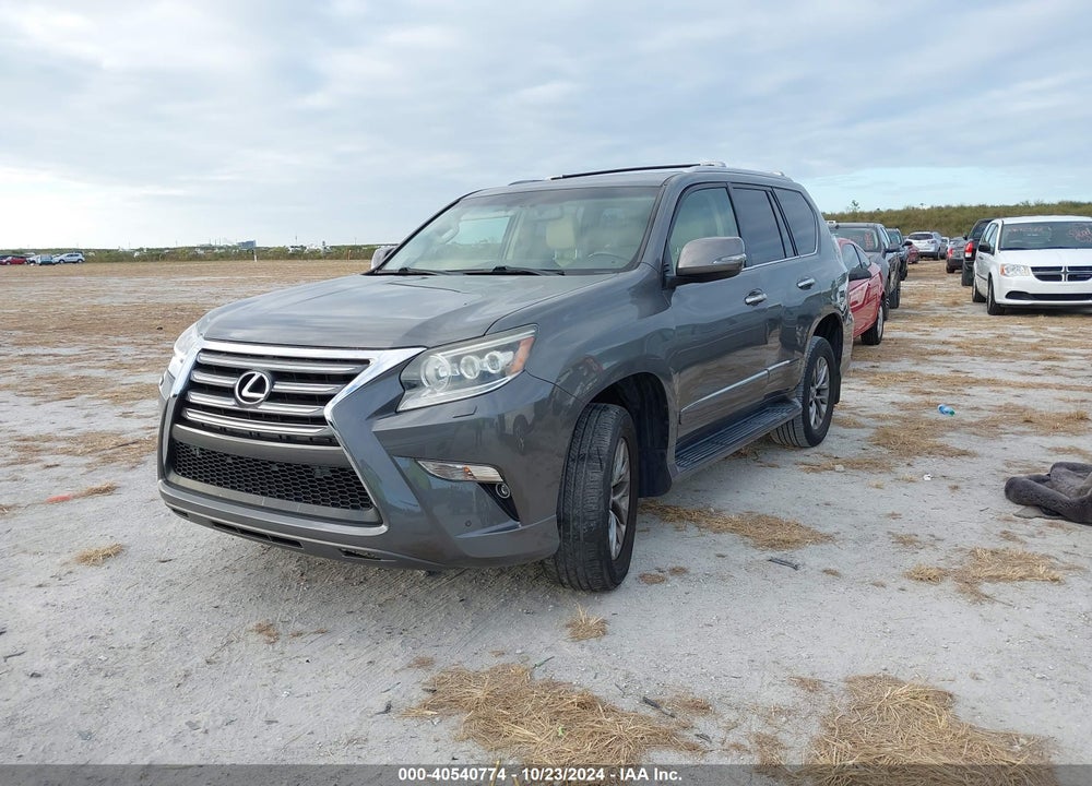 2014 LEXUS 460 LUXURY VIN: JTJJM7FX5E5071269