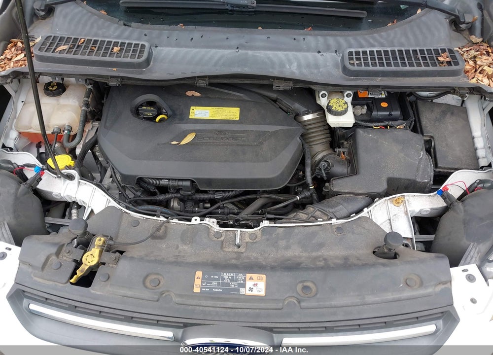 2014 FORD ESCAPE SE VIN: 1FMCU0GX1EUC69379