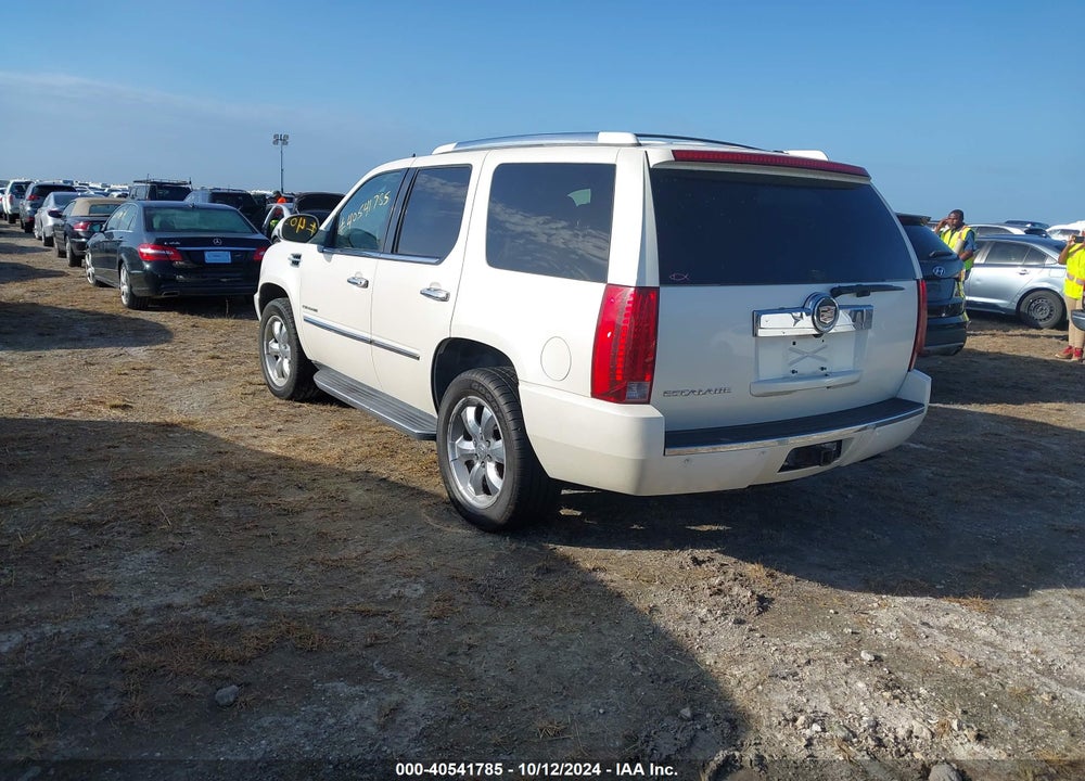 2007 CADILLAC ESCALADE STANDARD VIN: 1GYFK63847R120845
