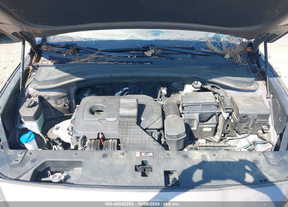 2020 HYUNDAI SANTA FE SE VIN: 5NMS2CAD5LH161924