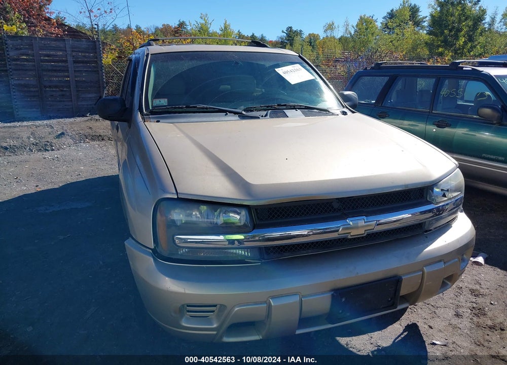 2006 CHEVROLET TRAILBLAZER LS VIN: 1GNDT13S362143525